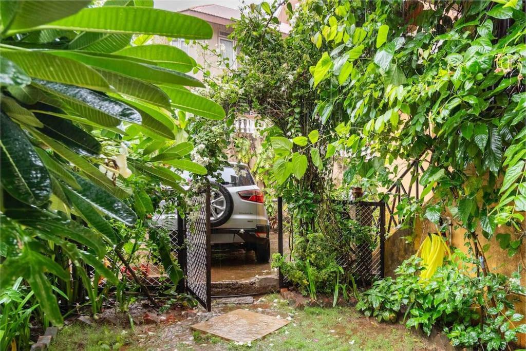 The Burrow In South Goa. Daire Dabolim Dış mekan fotoğraf